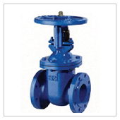 Gate Valve ยี่ห้อ NIBCO, VALTEC, SRI